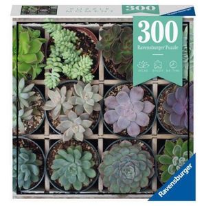 PUZZLE PLANTE SUCULENTE, 300 PIESE imagine