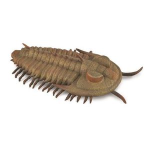 Figurina pictata manual Trilobit Redlichia Rex Trilobite imagine