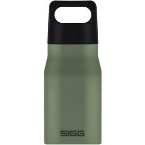 Bidon din otel inoxidabil Explorer Leaf Green, 0.55l imagine