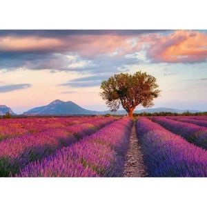 Puzzle Camp De Lavanda, 1000 Piese imagine