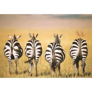 Puzzle Zebre In Savana, 300 Piese imagine