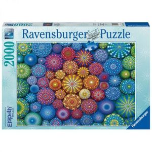 PUZZLE MANDALA CURCUBEU, 2000 PIESE imagine