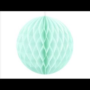 Honeycomb mint 10 cm imagine