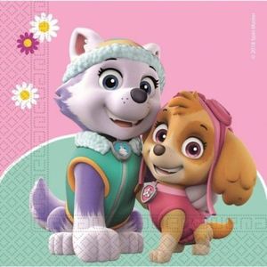 Servetele petrecere paw patrol skye & everest 33x33 cm imagine