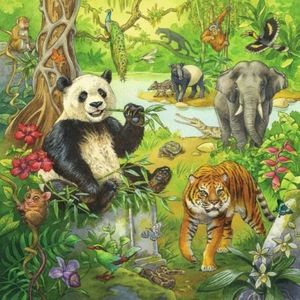 Puzzle Aventuri In Jungla, 3X49 Piese imagine