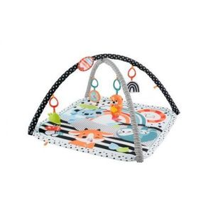 Fisher Price Saltea Muzicala 3 In 1 Cu Centru De Activitati imagine