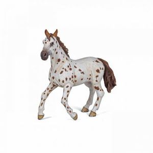 Cal Appaloosa imagine