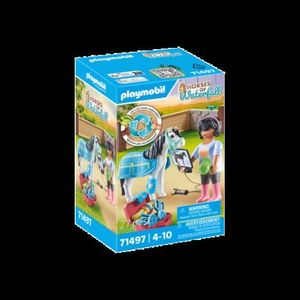 Playmobil-TERAPEUTUL DE CAI imagine