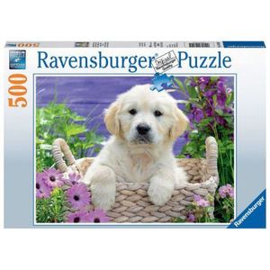 PUZZLE GOLDEN RETRIEVER, 500 PIESE imagine