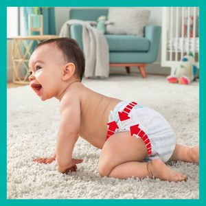 Scutece-chilotel Pampers Premium Care Pants XXL Box Marimea 6, 15+ kg, 93 buc imagine