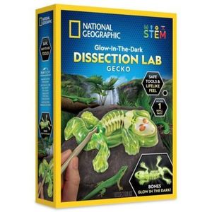 National Geographic - Kit creativ laborator de disectie soparla imagine