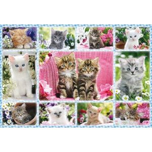 Puzzle 100 piese - Kittens | Schmidt imagine