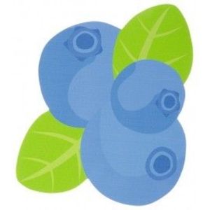 Aplicatie senzoriala – Coacaze - Sensory Collection imagine