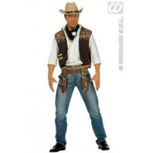 Vesta cowboy imagine