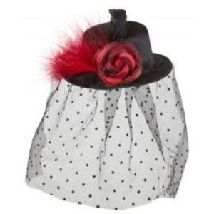 Mini palarie neagra imagine