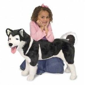 Catel Husky din plus imagine