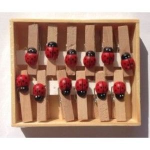Set 12 cleme lemn cu buburuza imagine