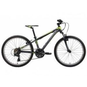 Bicicleta copii 9-12 ani, 24 inch, Spyke Black Sand Pearl Apple Green JewWhite, Silverback S74SB201566B imagine
