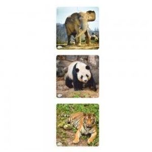 Set 3 puzzle progresive Animale imagine