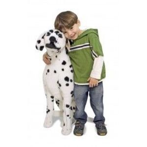 Catel Dalmatian din plus imagine