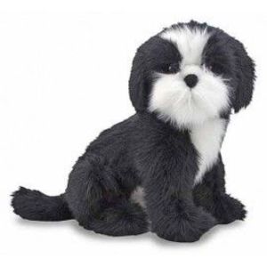 Catel Shih Tzu din plus imagine