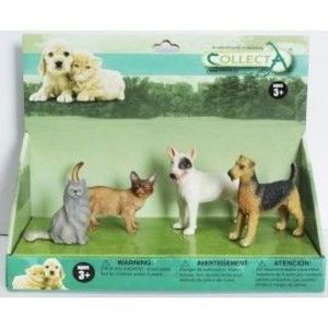 Set pisici si catei Collecta imagine