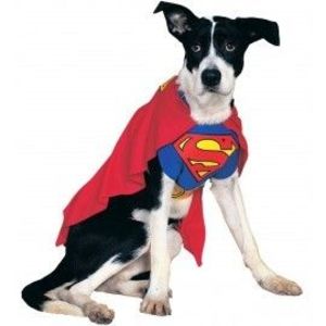 Costum batman catel - marimea 140 cm imagine