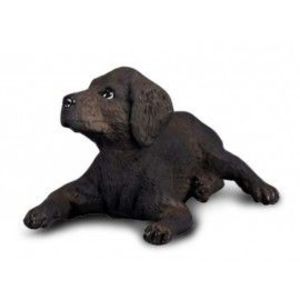 Labrador Retriever Pui imagine