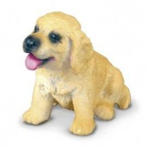 Golden Retriever Pui imagine