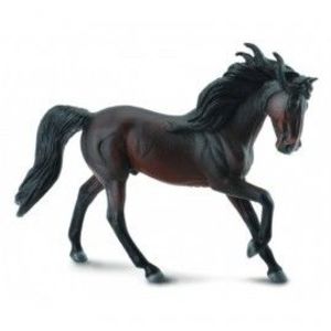 Murg Andaluz imagine