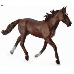 Armasar Standardbred Pacer Castaniu imagine