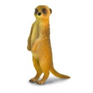 Figurina Suricata Stand imagine