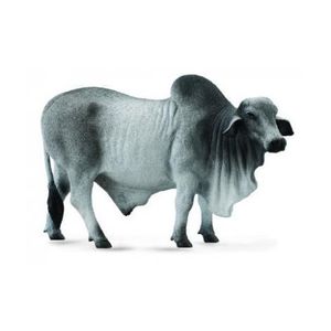 Figurina Taur Brahman imagine