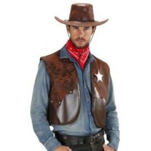 Vesta cowboy imagine