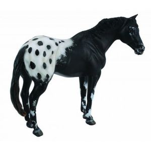 Figurina Armasar Black Appaloosa XL Collecta imagine