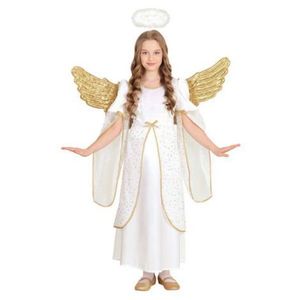 Costum inger serbare craciun imagine