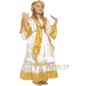 Costum inger auriu serbare imagine