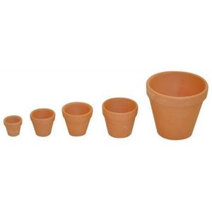 Set 10 ghivece lut 4 cm - Playbox imagine