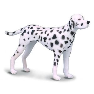 Dalmatian - Collecta imagine