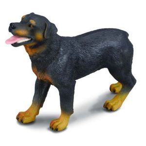 Rottweiler - Collecta imagine