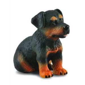 Catelus Rottweiler - Collecta imagine
