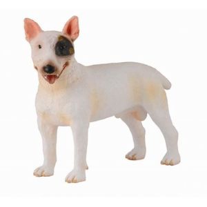 Caine Bull Terrier mascul - Collecta imagine