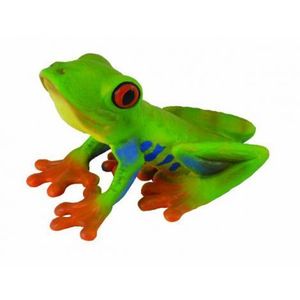 Broasca cu ochii rosii - Collecta imagine