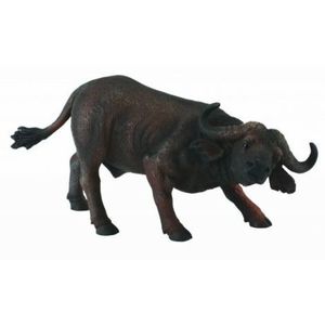 Bivol african - Collecta imagine