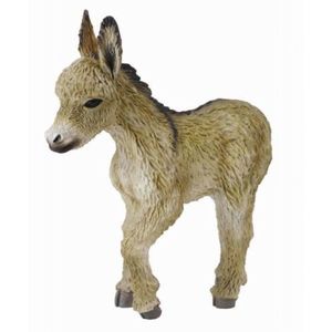 Manz mergand - Collecta imagine