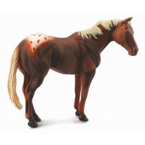 Armasar Castaniu - Collecta imagine