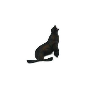 Leu de mare- Collecta imagine