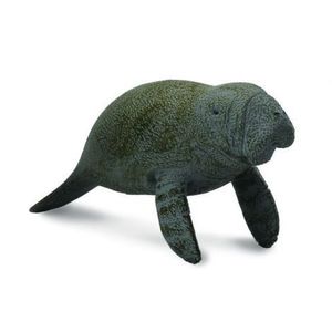 Lamantinul Pui - Collecta imagine