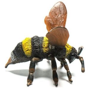 Bondar - Collecta imagine
