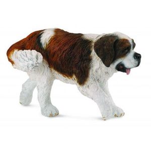 Saint bernard - Collecta imagine